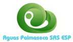 agua palmira